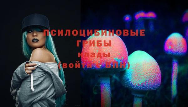 прущая мука Алзамай