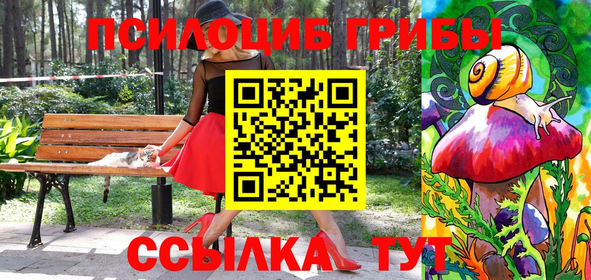 Псилоцибиновые грибы Magic Shrooms  Галлюциногенные грибы мицелий  Вход с VPN  Черногорск 